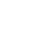 digital inspections 01.png